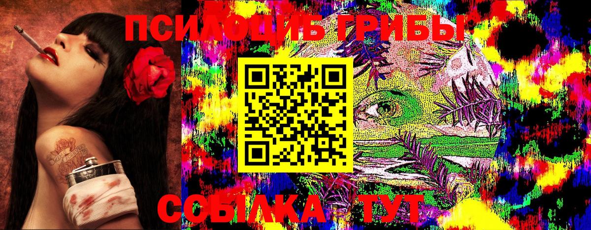 Галлюциногенные грибы прущие грибы  Вход с VPN  Кизляр  Псилоцибиновые грибы прущие грибы 