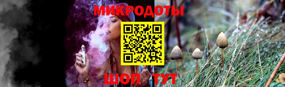 Галлюциногенные грибы Psilocybine cubensis Кизляр